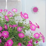 Hotell Alanur Alaçatı