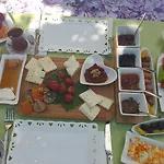 Alanur Hotell