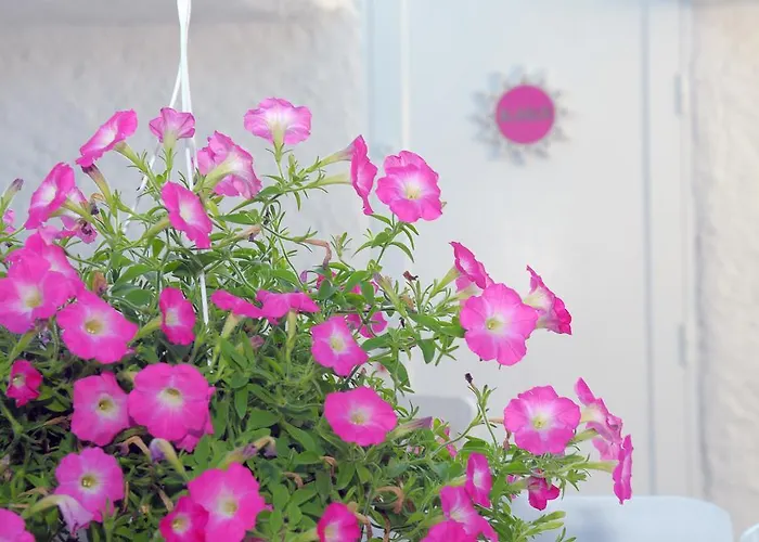 Hotel Alanur Alacati