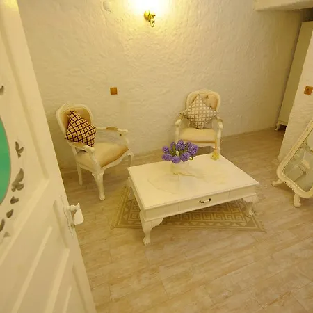 Отель Alanur 2*