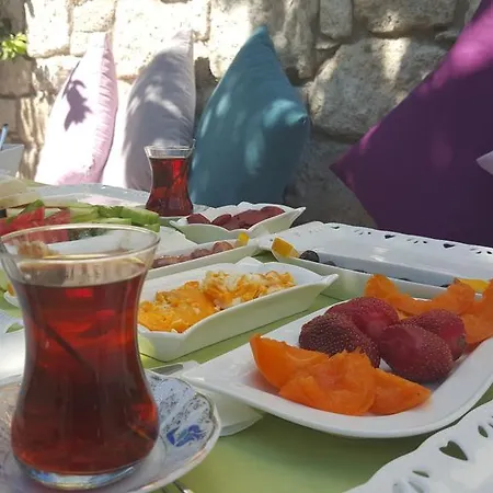 Отель Alanur 2*