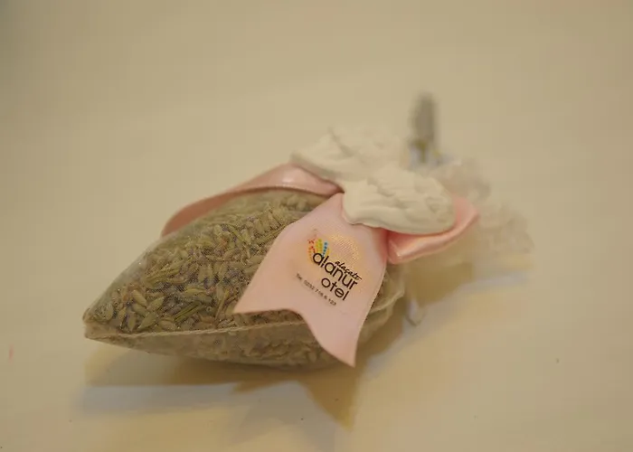 酒店 Alanur 阿拉恰特