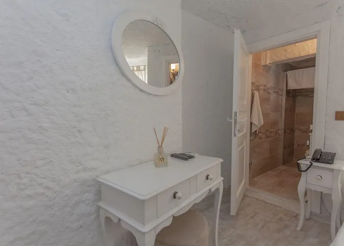 酒店 Alanur 阿拉恰特