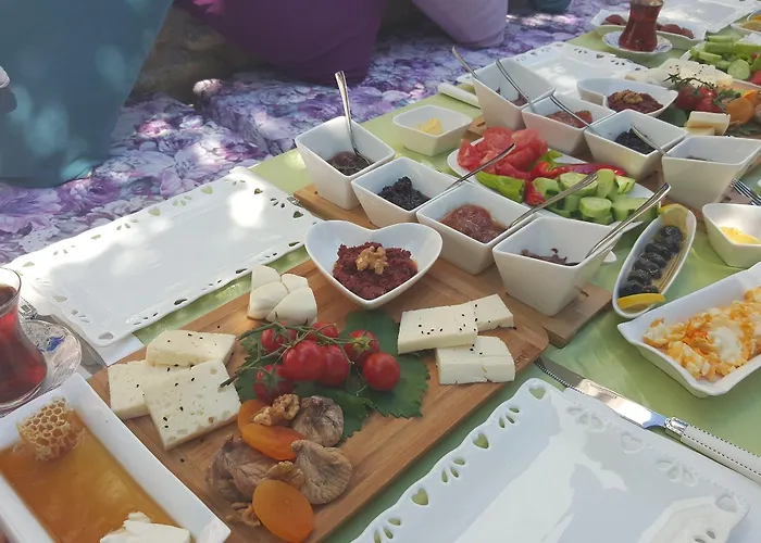 Alanur 2* 阿拉恰特