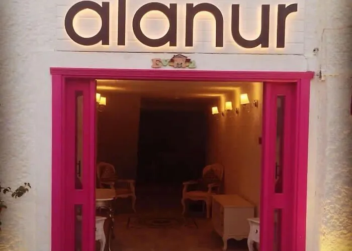 酒店 Alanur
