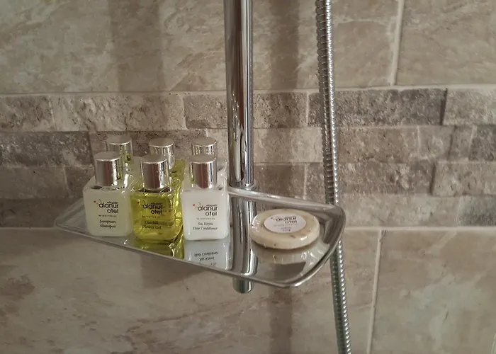 酒店 Alanur 阿拉恰特